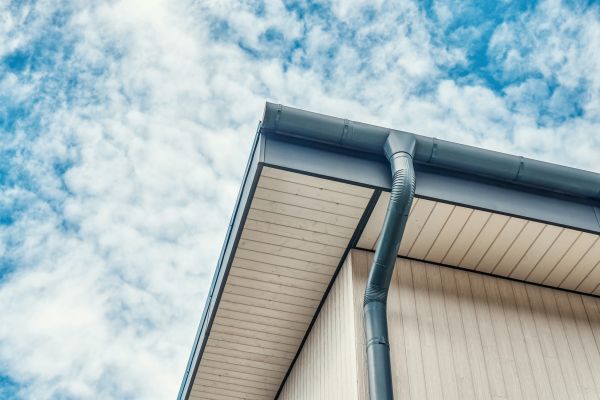 Cost of Gutter Fascia Repair in Lexington